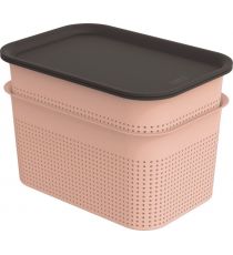 Box s víkem BRISEN, set 2x 4,5 L, růžová, antracit