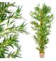 PLANTASIA Umělý strom bambus, 220 cm