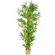 Umělá květina strom -  bambus - 220 cm