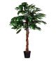 PLANTASIA Umělý strom mangovník, 120 cm