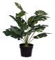 PLANTASIA Umělá rostlina monstera, 60 cm